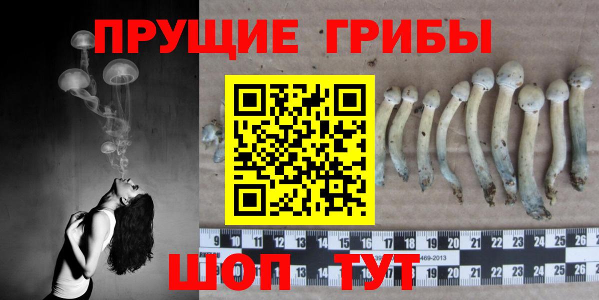 Корсаков  Псилоцибиновые грибы ЛСД  Вход с VPN 